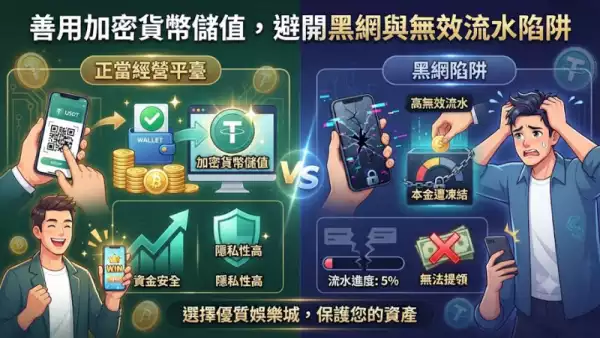 避開首儲陷阱:安全性與法律考量