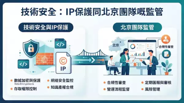技術安全:IP保護同北京團隊嘅監管